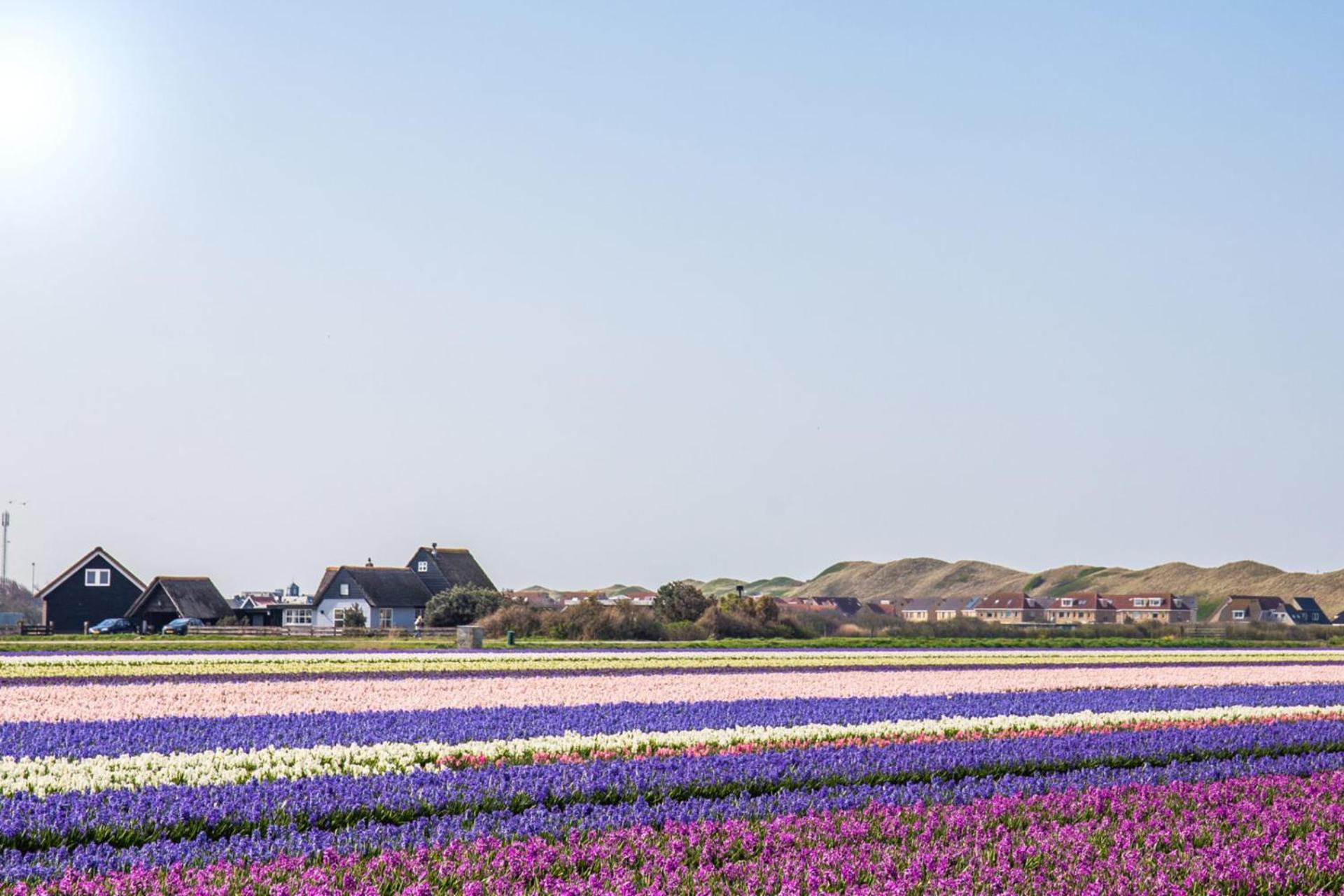 Beach Appartement 14 - Aan De Duinen, Callantsoog Aan Zee المظهر الخارجي الصورة